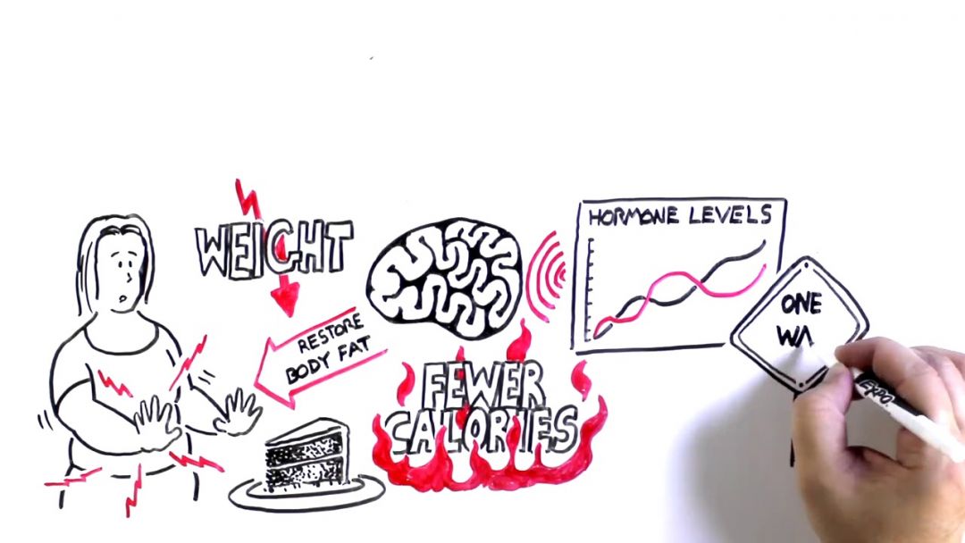 Time To Act On Obesity: Why Is It So Difficult To Lose Weight?
