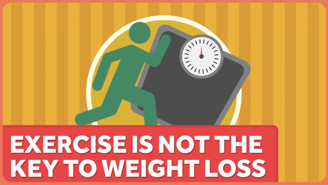 Exercise Is NOT The Key To Weight Loss