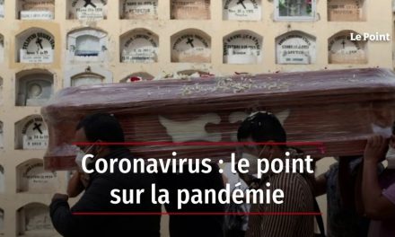 Coronavirus: Le Point Sur La Pandémie