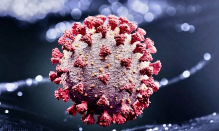 The Coronavirus Delta Variant Definitely Spreads More Easily… Than The Other Variants: Physician