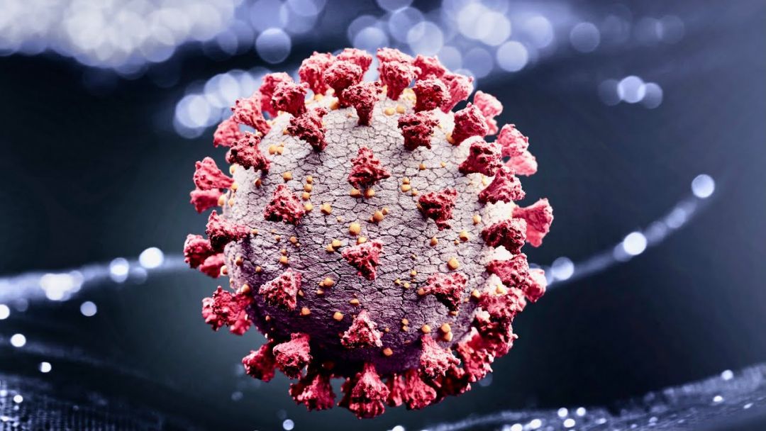 The Coronavirus Delta Variant Definitely Spreads More Easily… Than The Other Variants: Physician
