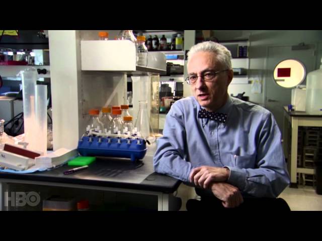 The Quest To Understand The Biology Of Weight Loss (HBO: The Weight Of The Nation)
