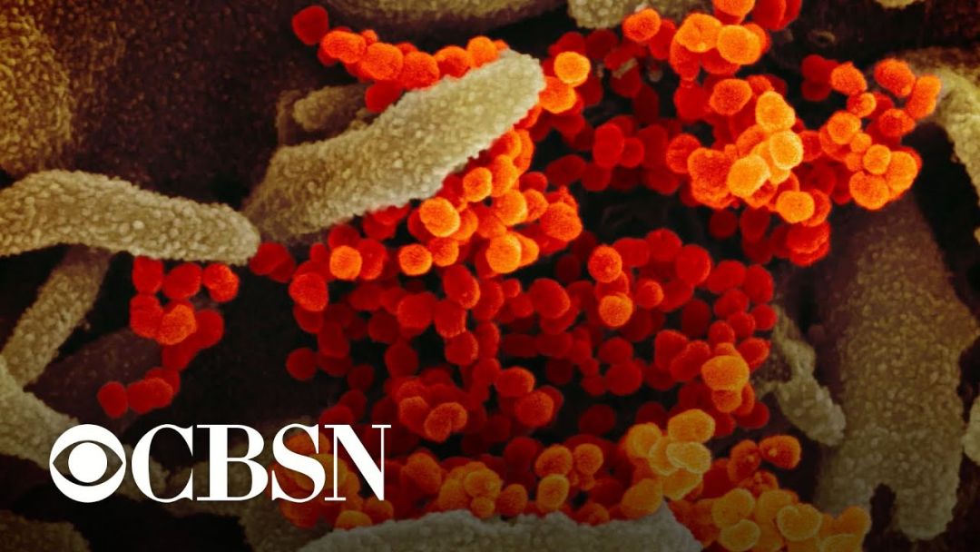 Delta Coronavirus Variant Fuels Spikes Ahead Of July 4 Weekend