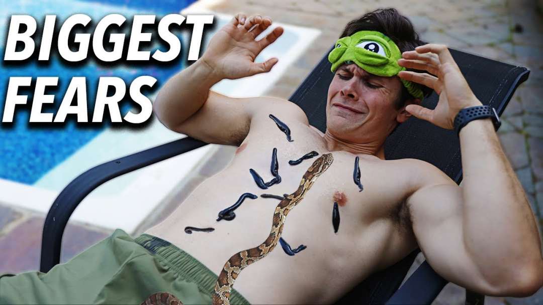 Facing The World’s Most Common Fears In A Day