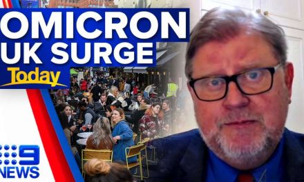UK Travel Restrictions As Omicron COVID-19 Cases Grow | Coronavirus | 9 News Australia