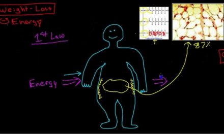 Science Of Weight-Loss: Pathophysiology Of Obesity