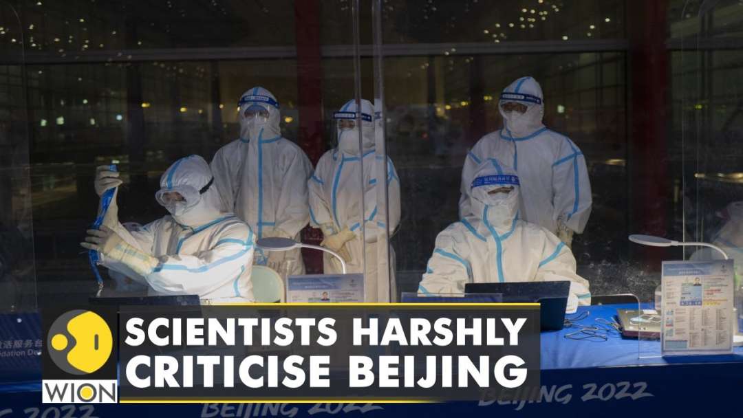 International Scientists Caution China Of Blocking Probe On Coronavirus Origins | World News