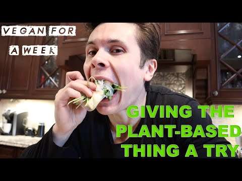 Vegan For A Week | The Game Changers Inspired | My Thoughts On Veganism