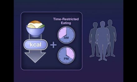 Time-Restricted Eating In Weight Loss | NEJM
