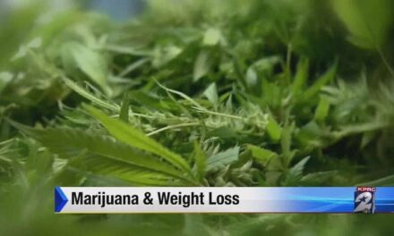 Marijuana And Weight Loss