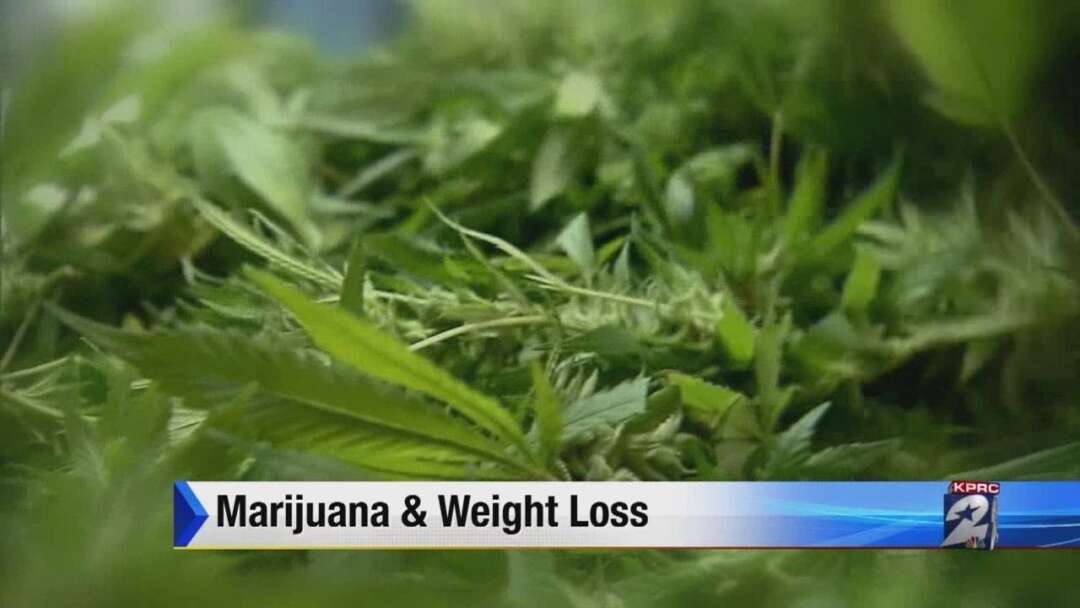 Marijuana And Weight Loss