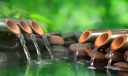 Relaxing Music 24/7, Meditation Music, Sleep Music, Yoga, Zen, Sleeping Music, Study Music, Calmm