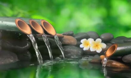 24 Hour Relaxing Music || Healing Music, Meditation Music, Spa Music, Sleep, Meditation, Study Music