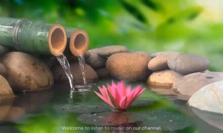 Relaxing Music || Sleep Music, Stress Relief Music, Spa, Meditation, Yoga, Zen, Sleeping Music, Calm