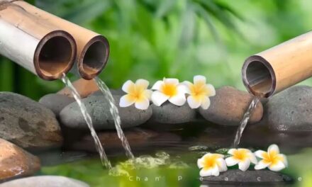 24 Hour Relaxing Music || Healing Music, Meditation Music, Spa Music, Sleep, Zen, Study Music, Yoga