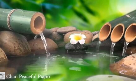 Relaxing Music 24/7 ||Calm Music, Yoga, Sleep Meditation, Spa, Study Music, Gentle Stream, Healing