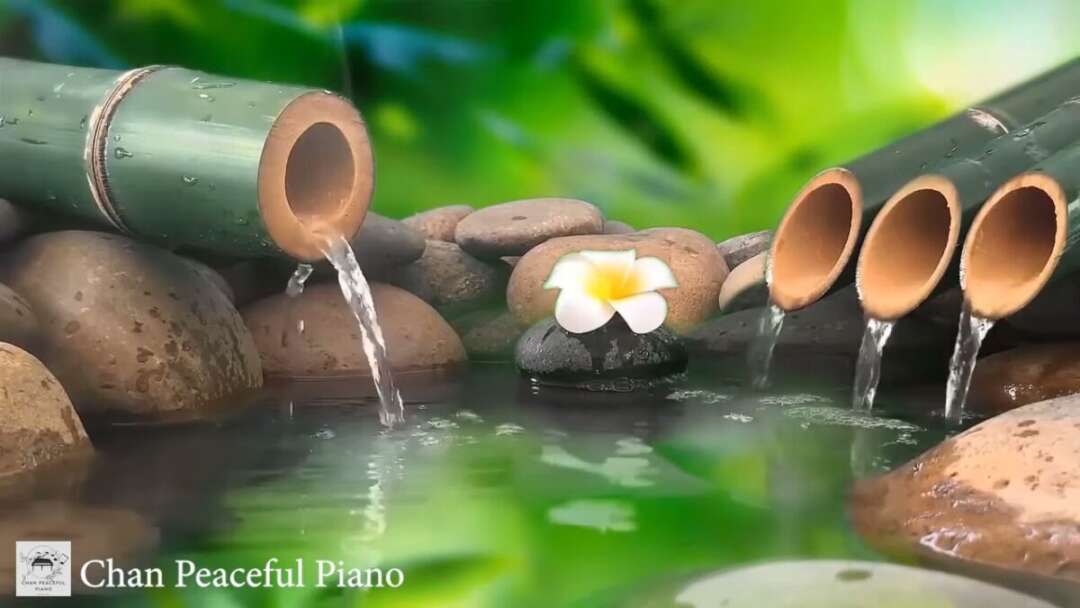 Relaxing Music 24/7 ||Calm Music, Yoga, Sleep Meditation, Spa, Study Music, Gentle Stream, Healing