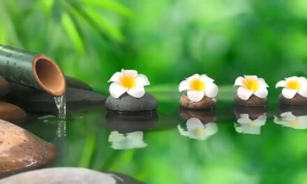 Relaxing Music 24/7, Meditation Music, Sleep Music, Yoga, Zen, Sleeping Music, Study Music, Calmm