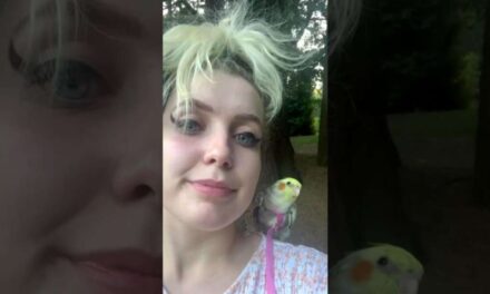 Woman Does Yoga With Her Birds | The Dodo