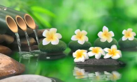 Relaxing Music 24/7 || Calm Music, Yoga, Sleep Meditation, Spa, Study Music, Healing Music, Peaceful