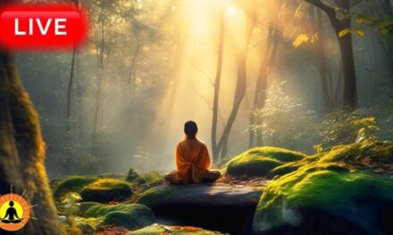 🔴 Relaxing Meditation Music 24/7, Calm Music, Yoga, Sleep Meditation, Study Music, Sleeping Music