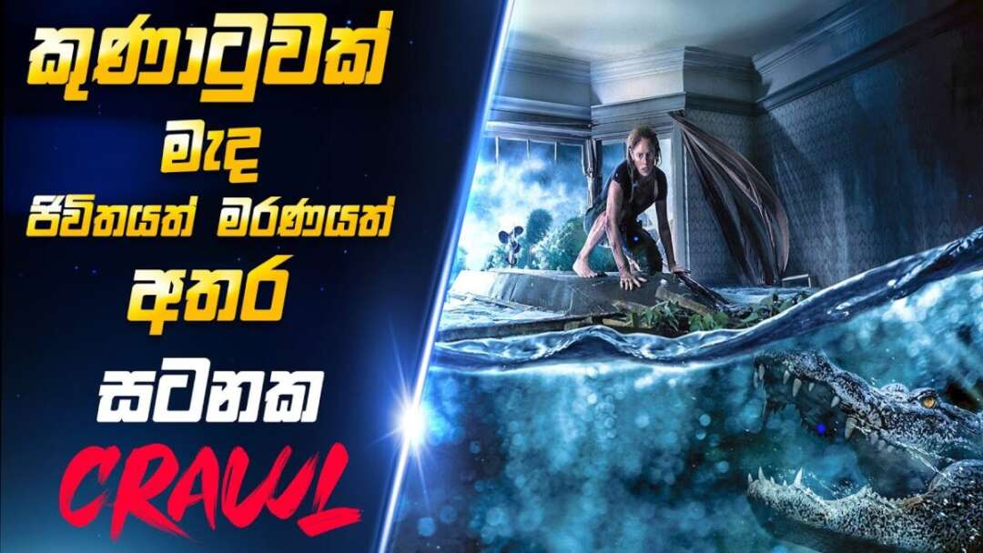කුණාටුවක් මැද ජීවිතයත් මරණයත් අතර සටනක |The Crawl 2019 Movie Explanation In Sinhala |T-Cinema