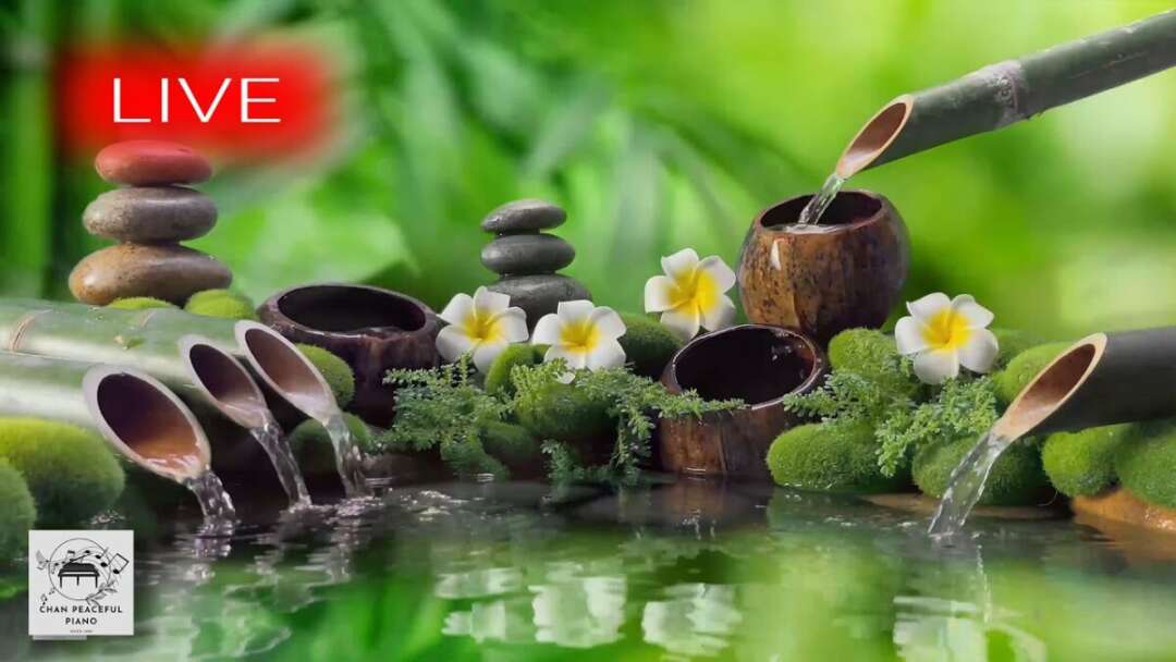 🔴 Relaxing Music 24/7, Calm Music, Yoga, Relaxing Sleep Meditation, Spa, Study Music, Nature Sounds