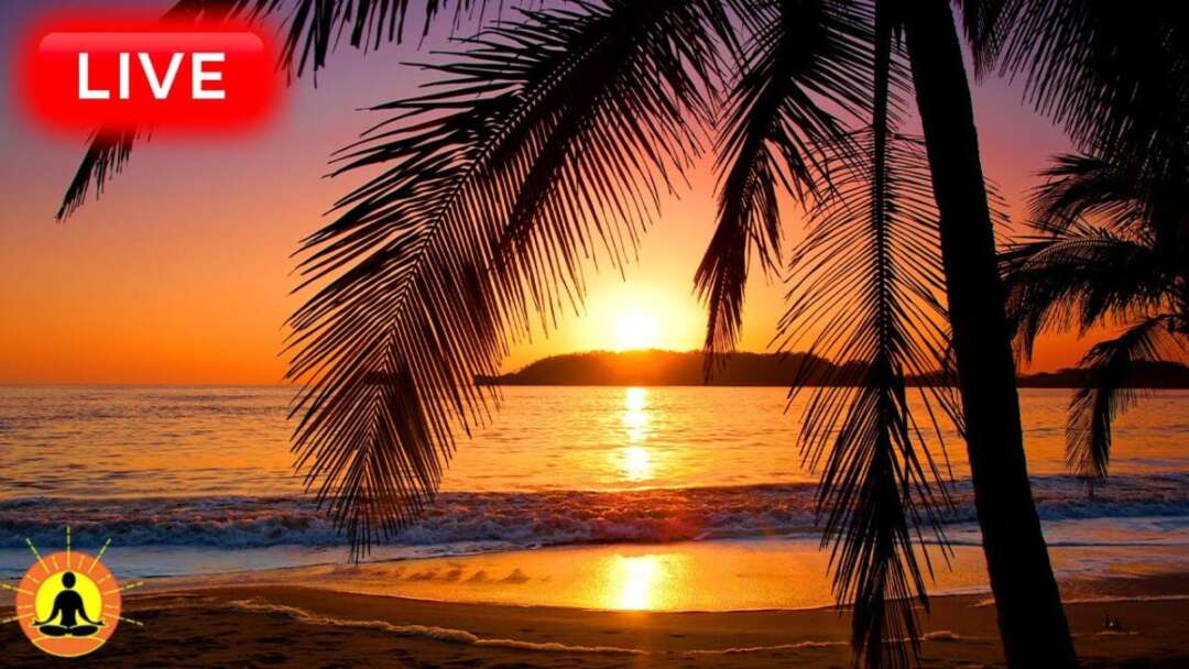 🔴 Relaxing Music 24/7, Sleep Music, Stress Relief Music, Spa, Meditation, Yoga, Zen, Wave Sounds