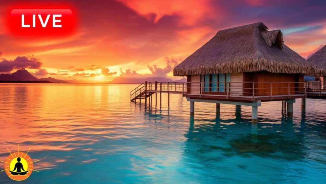 🔴 Relaxing Music 24/7, Healing Music, Meditation Music, Spa Music, Sleep, Zen, Study Music, Yoga