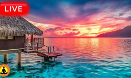 🔴 Relaxing Music 24/7, Calm Music, Meditation Music, Yoga, Healing Music, Sleep, Study Music, Zen