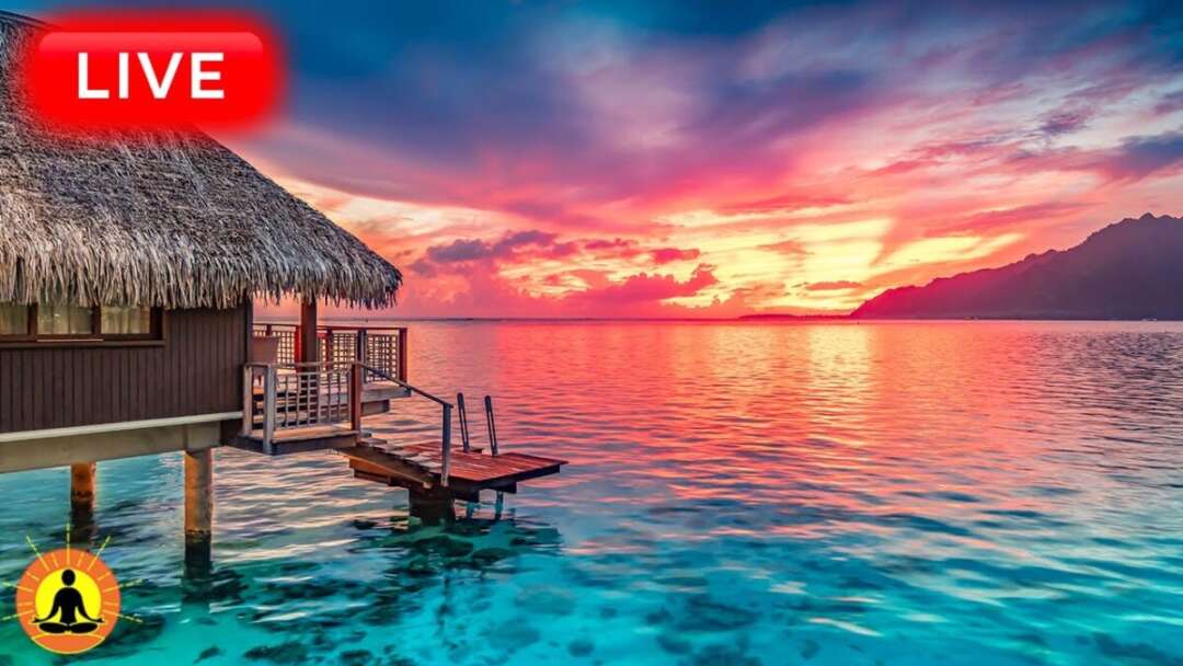 🔴 Relaxing Music 24/7, Calm Music, Meditation Music, Yoga, Healing Music, Sleep, Study Music, Zen