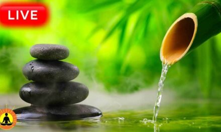 🔴 Relaxing Music 24/7, Sleep Music, Stress Relief Music, Spa, Meditation, Yoga, Zen, Flowing Stream
