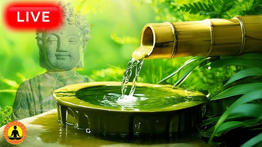 🔴 Relaxing Zen Music 24/7, Healing Music, Meditation Music, Spa Music, Sleep, Zen, Flowing Stream