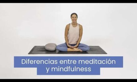 Diferencias Entre Meditación Y Mindfulness I Xuan Lan Yoga