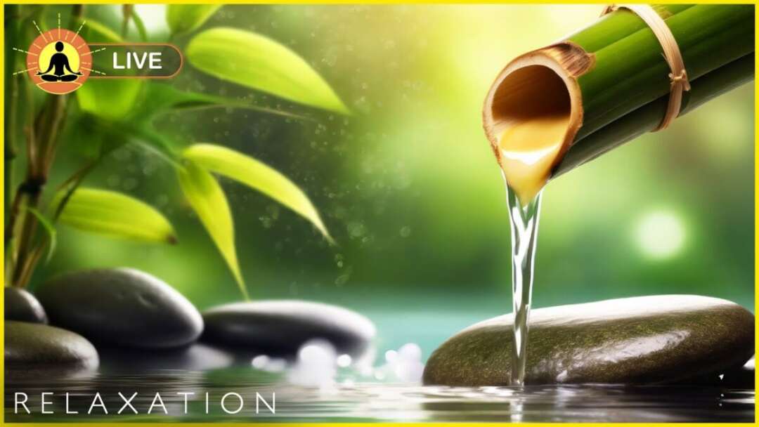 🔴 Relaxing Music 24/7, Sleep Music, Stress Relief Music, Spa, Meditation, Yoga, Zen, Calming Music