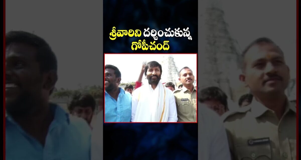 శ్రీవారిని దర్చించుకున్న గోపీచంద్ #gopichand #tirumala #bhimaa