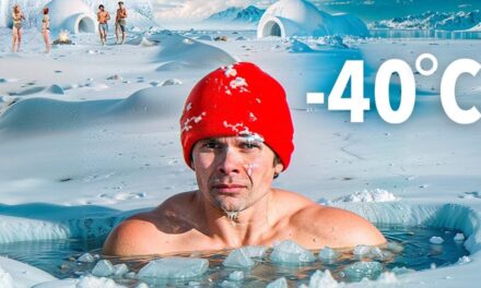 I Survived Extreme Winter Camping