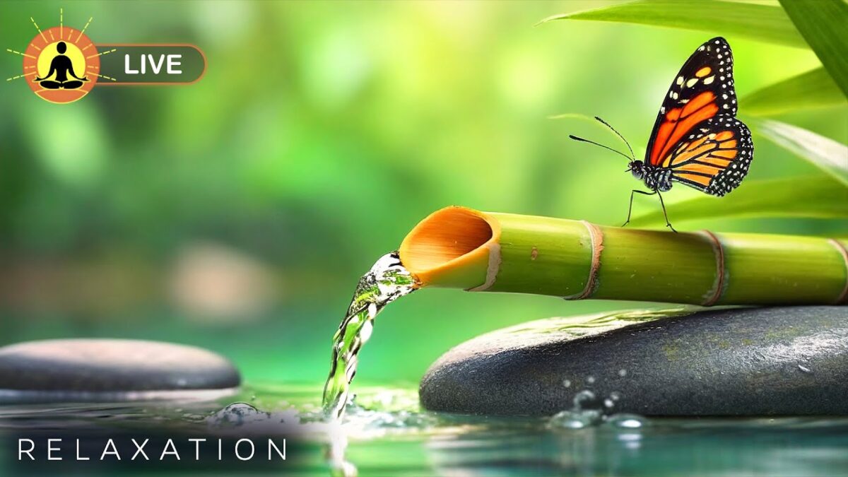 🔴 Relaxing Music 24/7, Sleep Music, Stress Relief Music, Spa, Meditation, Yoga, Zen, Calming Music