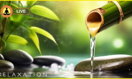 🔴 Relaxing Music 24/7, Sleep Music, Stress Relief Music, Spa, Meditation, Yoga, Zen, Calming Music