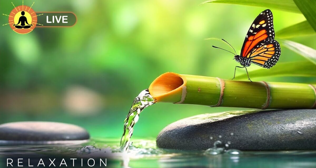 🔴 Relaxing Music 24/7, Sleep Music, Stress Relief Music, Spa, Meditation, Yoga, Zen, Calming Music
