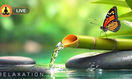 🔴 Relaxing Music 24/7, Sleep Music, Stress Relief Music, Spa, Meditation, Yoga, Zen, Calming Music