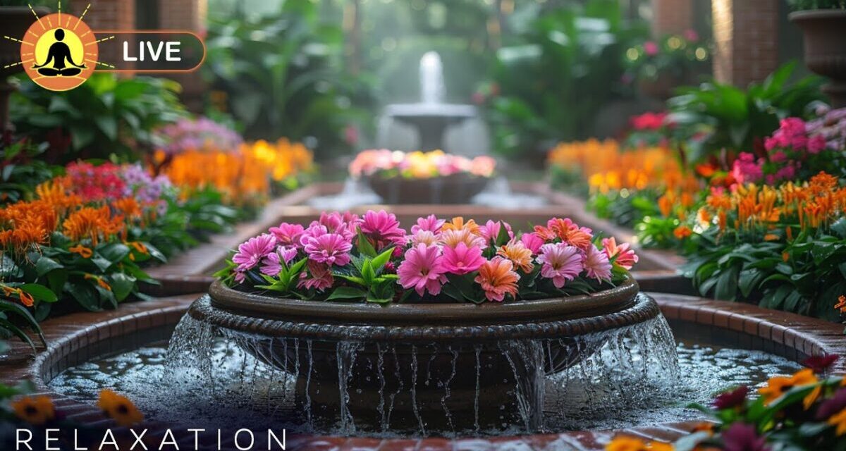 🔴 Relaxing Music 24/7, Sleep Music, Stress Relief Music, Spa, Meditation, Yoga, Zen, Calming Music