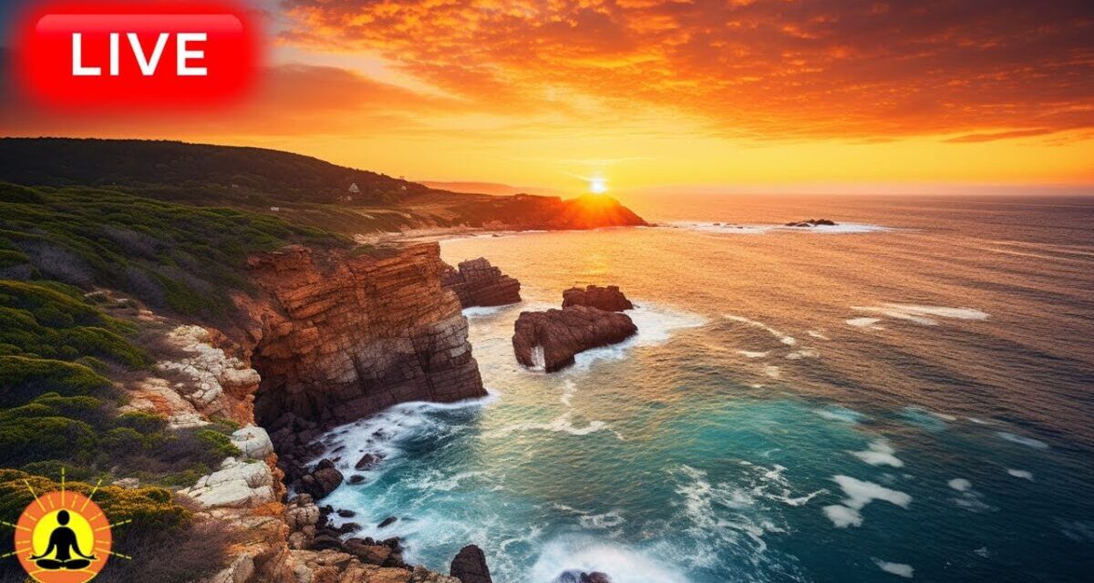 🔴 Relaxing Music 24/7, Sleep Music, Stress Relief Music, Spa, Meditation, Yoga, Zen, Calming Music