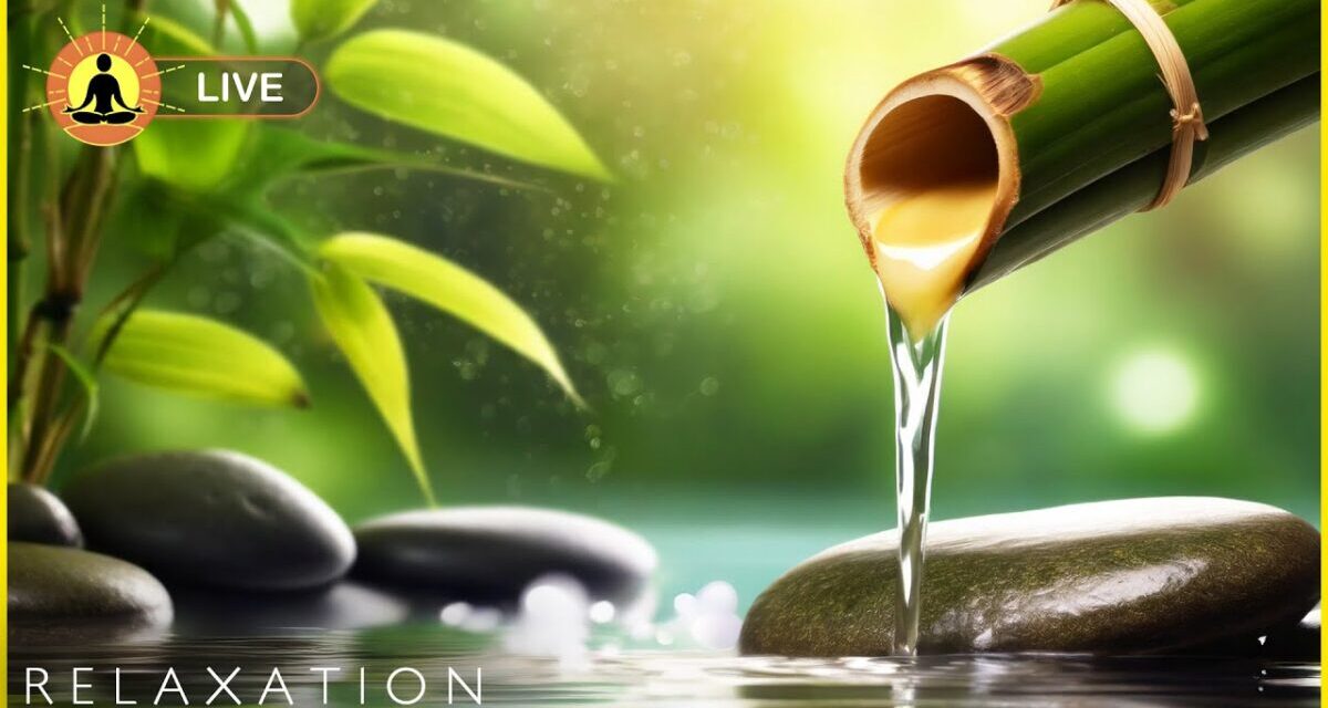 🔴 Relaxing Music 24/7, Sleep Music, Stress Relief Music, Spa, Meditation, Yoga, Zen, Calming Music