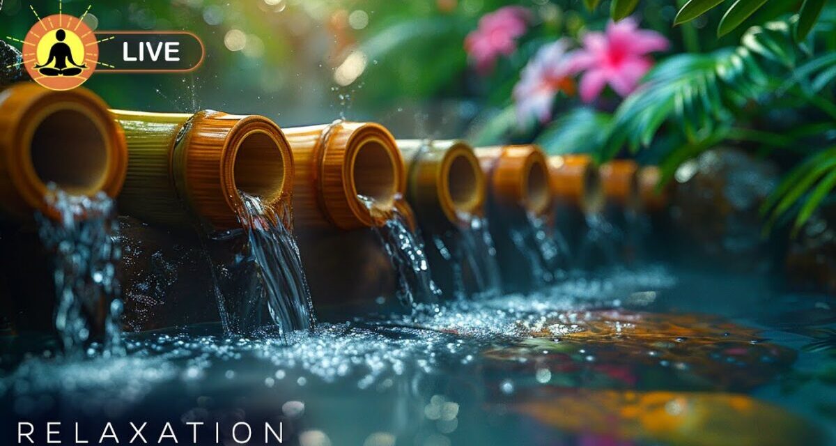 🔴 Relaxing Music 24/7, Sleep Music, Stress Relief Music, Spa, Meditation, Yoga, Zen, Flowing Stream