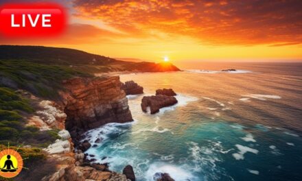 🔴 Relaxing Music 24/7, Sleep Music, Stress Relief Music, Spa, Meditation, Yoga, Zen, Calming Music