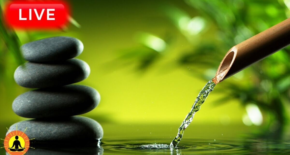 🔴 Relaxing Music 24/7, Healing Music, Meditation Music, Spa Music, Sleep, Zen, Study Music, Yoga