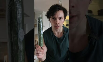 I Tried The 600lbs Life Diet