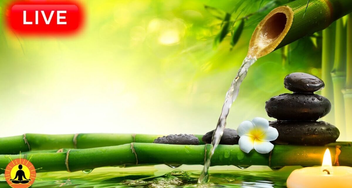 🔴 Relaxing Music 24/7, Stress Relief Music, Sleep Music, Meditation Music, Study, Calming Music