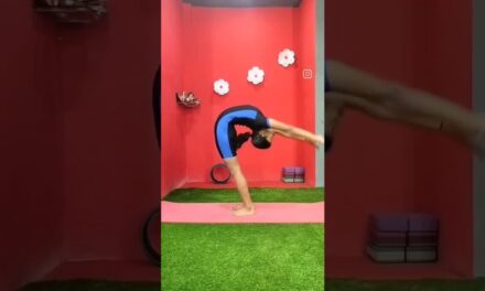 Purna Chakrasana Advance Stretches/Advanced Backbending Stretches/Advanced Asana -Yoga Saathi Video